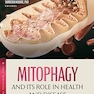 Mitophagy and Its Role in Health and Disease