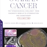 Ovarian Cancer: The "Gynaecological Challenge" from Diagnostic Work-Up to Cytoreduction and Chemotherapy. Volume 1