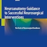 Neuroanatomy Guidance to Successful Neurosurgical Interventions: The Torch of Neurosurgical Excellence