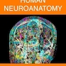 Human Neuroanatomy 1st Edition