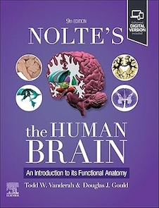 Nolte's The Human Brain: An Introduction to its Functional Anatomy 9th Edition
