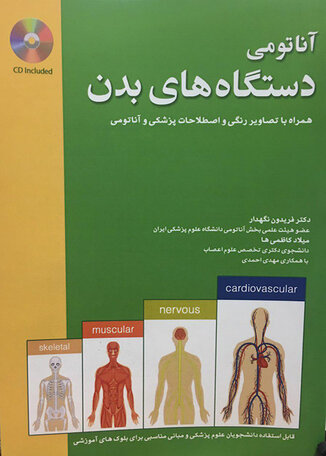 آناتومی دستگاه بدن انسان