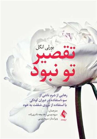 عکس تقصیر تو نبود